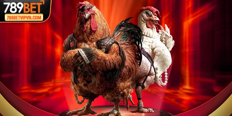 Giao diện đá gà trực tuyến tại 789Bet thân thiện, dễ thao tác trên cả điện thoại và máy tính.