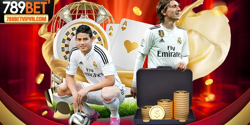 Quyền Và Nghĩa Vụ Của Người Dùng